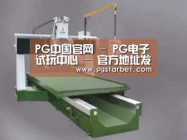 产品名称十