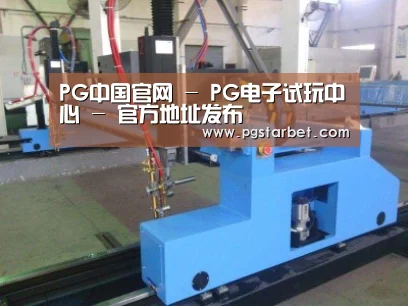 产品名称十六