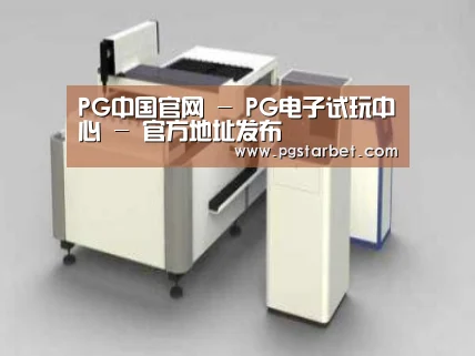 产品名称十三