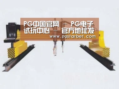 产品名称十九