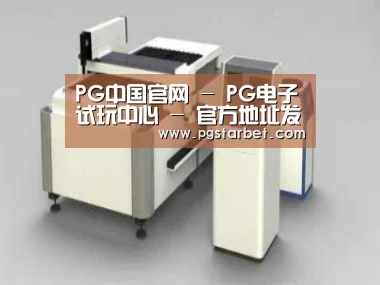 产品名称十五