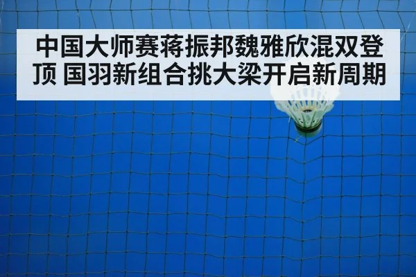 badminton net play